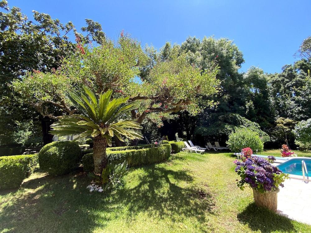 Vila Duparchy Luso  Dış mekan fotoğraf